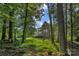 Scenic view of the home from a wooded area, lush greenery, and expansive backyard at 7501 Cleyera Cir, Waxhaw, NC 28173