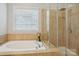 Bathroom featuring tiled shower stall, soaking tub, and a window at 10401 Royal Winchester Dr, Charlotte, NC 28277