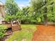 Lush backyard with deck, surrounded by mature trees, creating a peaceful oasis at 1300 Rutledge Ave, Charlotte, NC 28211