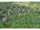 Aerial view of a neighborhood showcasing lush trees and the house nestled amongst them with mature tree canopy at 1328 Huntcliff Dr, Waxhaw, NC 28173