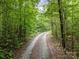 Gravel driveway winding through lush green trees and nature at 230 Shag Bark Ln, Salisbury, NC 28146