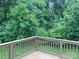 A view from the corner of a back deck looks out onto a yard lined with tall trees at 2339 Wednesbury Ct, Kannapolis, NC 28083