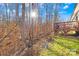 Home's backyard features a deck, beautiful mature trees, and lush green grass at 242 Delview Dr, Cherryville, NC 28021