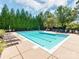 Community pool with lounge chairs surrounded by mature trees provides a resort-like feel at 3044 Luke Crossing Dr, Charlotte, NC 28226