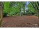 Expansive backyard, surrounded by lush greenery and mature trees offering complete privacy at 3524 Rhett Butler Pl, Charlotte, NC 28270