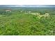A high angle shot of diverse terrain including grasslands, dense forest, and residential areas at 9161 Paul Payne Store Rd, Stony Point, NC 28678
