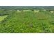 Aerial perspective of a forested area bordered by grassy fields and with a cluster of houses nearby at 9161 Paul Payne Store Rd, Stony Point, NC 28678