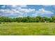 Idyllic green field with mature trees under a cloudy blue sky creates a serene and picturesque landscape scene at 9161 Paul Payne Store Rd, Stony Point, NC 28678