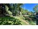 Well-maintained backyard with a mature tree and a rope swing, offering a peaceful outdoor retreat at 10338 Hollybrook Dr, Charlotte, NC 28277