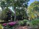 Beautifully landscaped yard featuring mature trees, flowering bushes, and lush green foliage at 10338 Hollybrook Dr, Charlotte, NC 28277