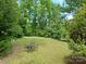 Expansive backyard with well-manicured lawn, surrounded by lush green foliage and mature trees at 1061 Nw 14Th Avenue Nw Dr, Hickory, NC 28601