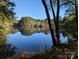 Picturesque view of a serene pond reflecting the surrounding trees, creating a peaceful and scenic landscape at 1370 Poole Rd, Salisbury, NC 28146