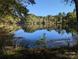 A serene pond reflects the surrounding trees and blue sky, creating a picturesque and peaceful waterscape at 1370 Poole Rd, Salisbury, NC 28146