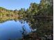 Still pond reflecting the surrounding trees, providing a tranquil, natural setting and beautiful scenic view at 1370 Poole Rd, Salisbury, NC 28146