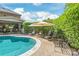 Backyard pool area offering lounge seating, umbrellas, and privacy hedging for serene outdoor relaxation at 14701 Jockeys Ridge Dr, Charlotte, NC 28277