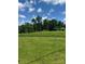 Expansive green backyard with tall trees in the distance under a blue sky with fluffy white clouds at 206 13Th St, Belmont, NC 28012