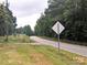 Scenic view of a quiet street lined with trees, showcasing the natural beauty of the neighborhood at 3116 Pilgrim Rd, Chester, SC 29706