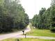 Exterior view of a street lined with mature trees and grass, showcasing its natural beauty and surroundings at 3116 Pilgrim Rd, Chester, SC 29706