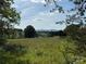 Scenic view of a lush green field framed by trees, overlooking a distant mountain range at 33 Honeysuckle Ln, Taylorsville, NC 28681