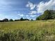 Expansive view of grassy pastureland under a blue, partly cloudy sky with a distant treeline at 33 Honeysuckle Ln, Taylorsville, NC 28681