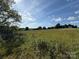 Expansive view of grassy pastureland under a blue, partly cloudy sky with a distant treeline at 33 Honeysuckle Ln, Taylorsville, NC 28681