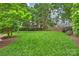 Expansive backyard featuring lush green lawn, mature trees, and manicured landscaping, perfect for outdoor activities at 5508 Kincross Ln, Charlotte, NC 28277