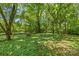 Expansive backyard featuring mature trees, greenery, and a picnic table for outdoor enjoyment and relaxation at 1241 Rollins Ave, Charlotte, NC 28205