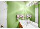 Bathroom features single vanity, large mirror, light and bright green walls, and tiled flooring at 5238 Downing Creek Dr, Charlotte, NC 28269
