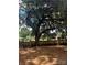 The backyard boasts a mature shade tree and a secure wood privacy fence at 80 Pine St, Badin, NC 28009