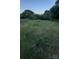Vegetated lot lines, partially cleared at 84 Sumner Nw Ave, Concord, NC 28027