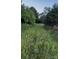 Picture of the lot line, showing grass and mature trees at 84 Sumner Nw Ave, Concord, NC 28027