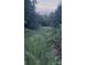 View of the lot line, overgrown with vegetation at 84 Sumner Nw Ave, Concord, NC 28027