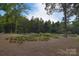 Landscape of greenery, trees, and ground covering of a real estate property at 9625 Surface Hill Rd, Mint Hill, NC 28227