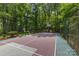Well-maintained basketball court offers a private recreational space at 9831 Sedgefield Dr, Waxhaw, NC 28173