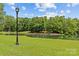 Picturesque pond view with lush green grass, mature trees, and a classic lamp post adding to the serene setting at 9831 Sedgefield Dr, Waxhaw, NC 28173