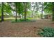 Expansive backyard with mature trees, offering ample space for outdoor activities and relaxation with a storage shed at 1610 Ford St, Charlotte, NC 28216