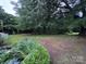 Scenic backyard featuring a lush pond with thriving plants, creating a tranquil and natural retreat with serene ambiance at 2009 Hickory Grove Rd, Gastonia, NC 28056