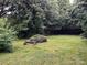 Lush backyard with mature trees, offers a peaceful and private outdoor setting at 2009 Hickory Grove Rd, Gastonia, NC 28056