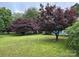 Lush front yard with vibrant trees and a well-maintained lawn, enhancing the home's curb appeal and charm at 2009 Hickory Grove Rd, Gastonia, NC 28056