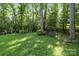 Spacious backyard with a mature trees, featuring a charming wooden swing for relaxation and enjoying nature at 201 Scalybark Trl, Concord, NC 28027