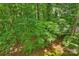 Lush backyard with mature trees and lush greenery at 6016 Gray Gate Ln # C, Charlotte, NC 28210