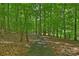 Scenic paved trail meandering through lush greenery, perfect for leisurely strolls at 6016 Gray Gate Ln # C, Charlotte, NC 28210