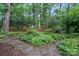 Landscaped backyard garden with stone pathway at 6208 Rocky Falls Rd, Charlotte, NC 28211