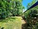A grassy backyard features trees and bushes to define the property line at 7228 Rollingridge Dr, Charlotte, NC 28211