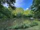 A tranquil pond bordered by verdant trees and plant life at 9712 Worley Dr, Charlotte, NC 28215