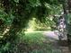 A lush and verdant backyard surrounded by mature trees and foliage at 447 17Th St, Cramerton, NC 28032