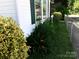 Lush greenery and plants line the exterior of the home, with green shutters seen on the window at 447 17Th St, Cramerton, NC 28032