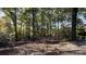 Wooded backyard featuring mature trees, natural foliage, and a flagpole with American flag at 700 Valleyview Dr # 1, Albemarle, NC 28001