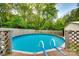 This above-ground pool has a pool ladder and a surrounding fence with trees in the background at 8 Cauthen St, Rock Hill, SC 29730