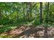 Natural backyard landscaping with small wooden footbridge at 8744 Barrister Way, Charlotte, NC 28216